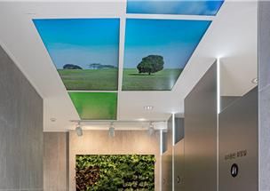 올림픽공원 평화의문B 화장실 천장