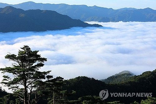 구름 이불 덮은 설악산 자락