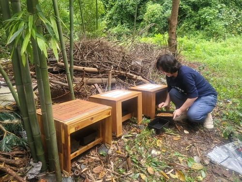 길고양이 급식소