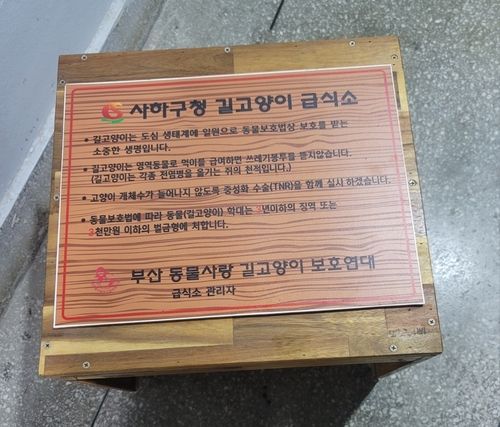 길고양이 급식소