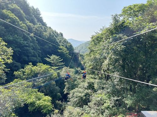 홍천 가리산 레포츠파크 집라인 