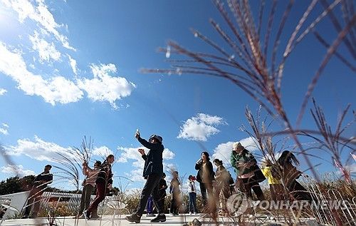 은빛 억새와 푸른 가을 하늘