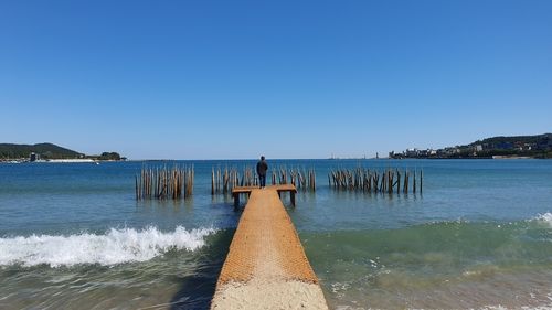 펠릭스 블룸 '바다의 풍문'
