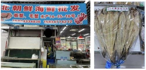 대북제재 패널보고서 북한산 수산물 증거사진