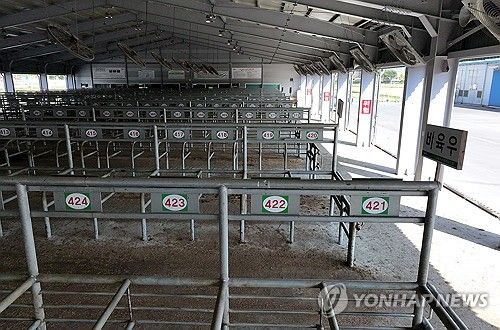 럼피스킨병 확산으로 폐쇠된 전남 우시장 폐쇄 [연합뉴스 자료사진]