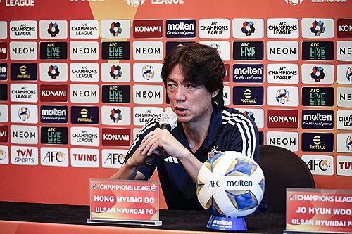 홍명보 울산 현대 감독