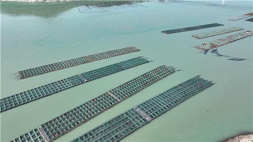 다도해상국립공원 조도지구 내 전복 양식장. [국립공원공단 제공. 재판매 및 DB 금지]