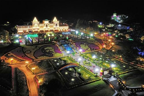 치즈 축제장 야경