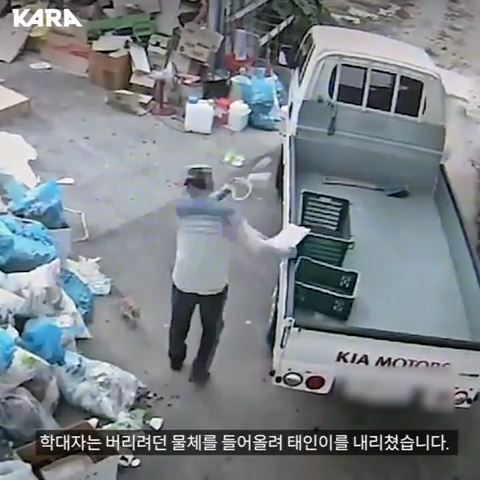 아기 고양이 후려치는 사람(동영상)