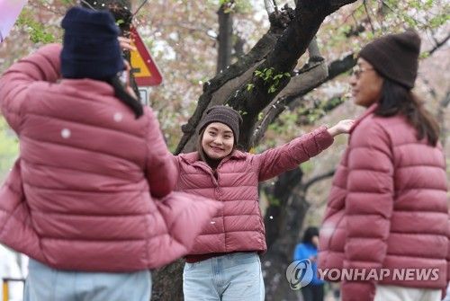 패딩 입고 꽃놀이