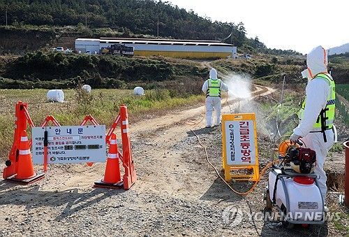 럼피스킨 확산 차단 방역
