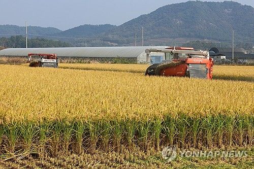 가을 수확