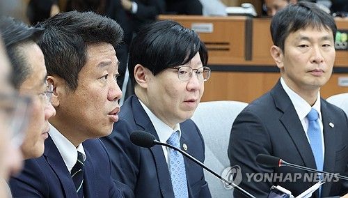 공매도 관련 발언하는 정책위의장