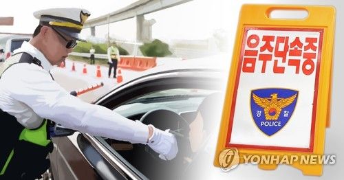 음주 숙취운전 단속 (PG)