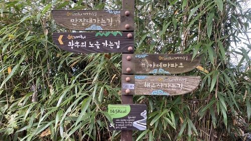 분산성 내 안내판 