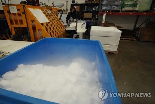 [연합뉴스 자료사진]