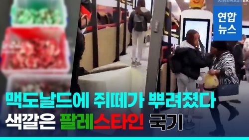 [영상] 맥도날드에 '염색 쥐떼' 투척…팔레스타인 국기 색깔 - 2