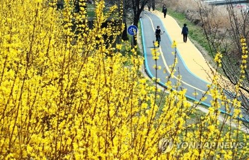 원주천을 이용하는 시민들