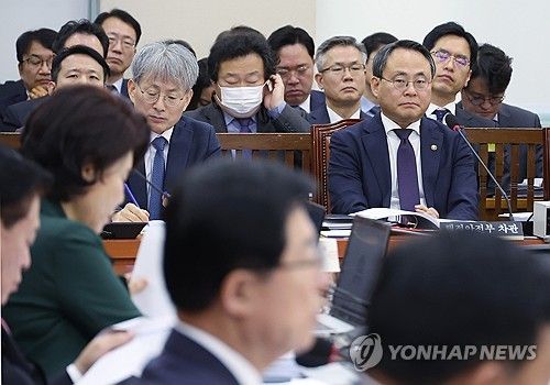 장관 대신 출석한 고기동 행안부 차관