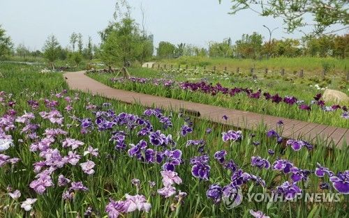 국립세종수목원. [국립세종수목원 제공. 재판매 및 DB 금지]