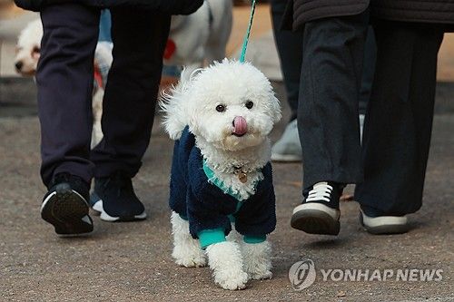 '산책을 시작해볼까'