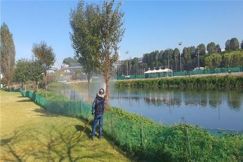 미국흰불나방 고압살수 작업