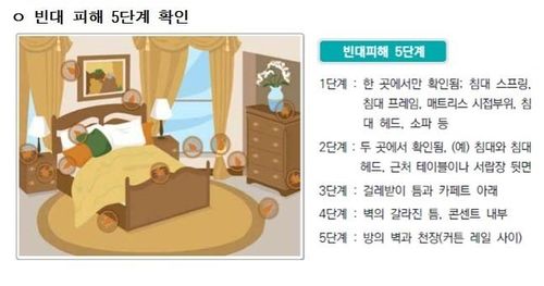 빈대 피해 5단계 확인