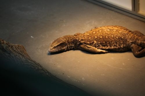 나는 누구, 여긴 어디?