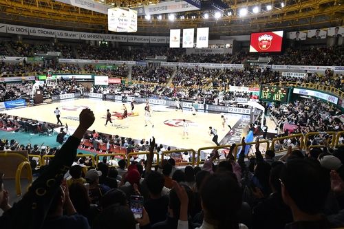 관중몰이 하는 창원 LG 홈구장 창원실내체육관