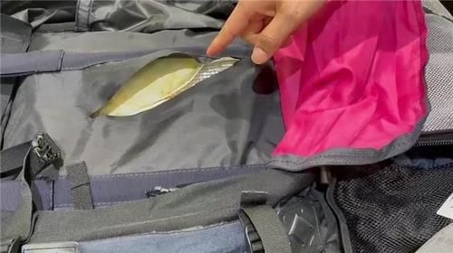 백팩에 숨긴 7억원대 필로폰