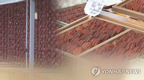 달콤 쫄깃한 겨울 별미 '완주 곶감' (CG)