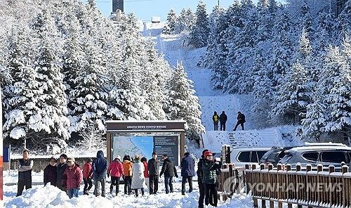 설국 대관령에서 만끽하는 겨울