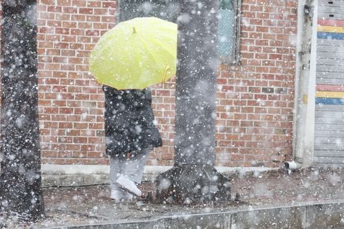 눈 피하는 시민