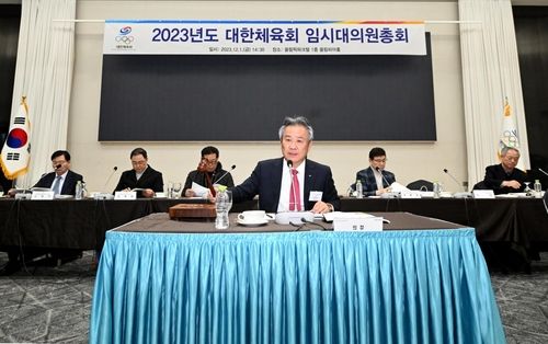 대한체육회 임시 대의원총회