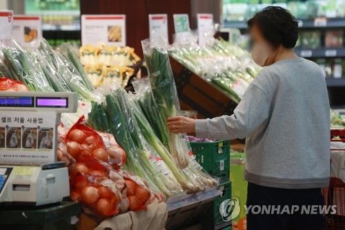 대파를 살펴보는 시민
