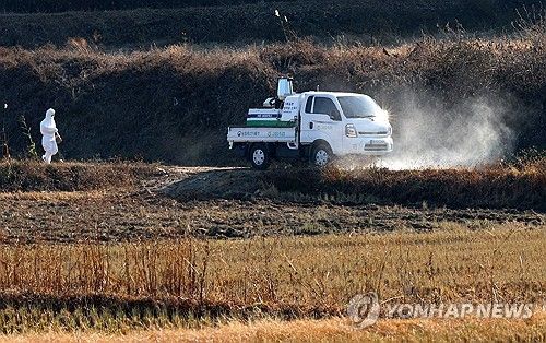 고병원성 AI 확진 농장 주변 방역
