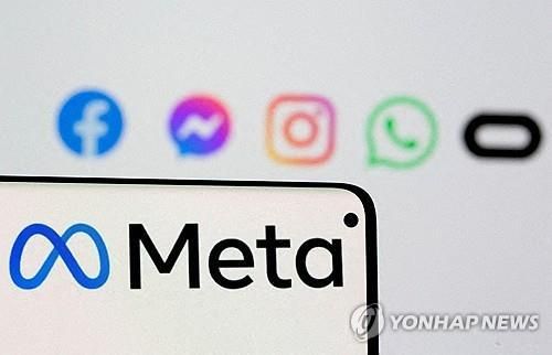 메타 플랫폼
