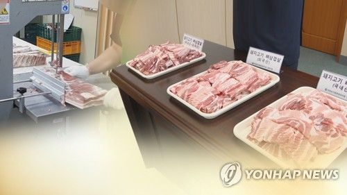 [연합뉴스TV 제공]