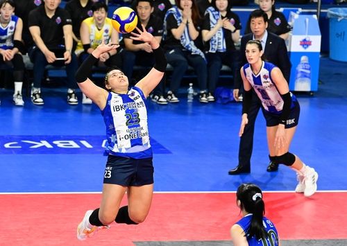 폰푼의 힘찬 토스