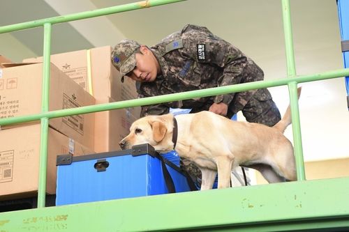 공군 마약탐지견 '딘딘'