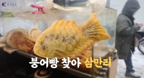 [K-VIBE] 거리에서 사라진 붕어빵…요즘 뜨고 있는 '新붕세권'은? - 1