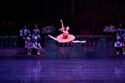 이유림 '돈키호테' 공연사진