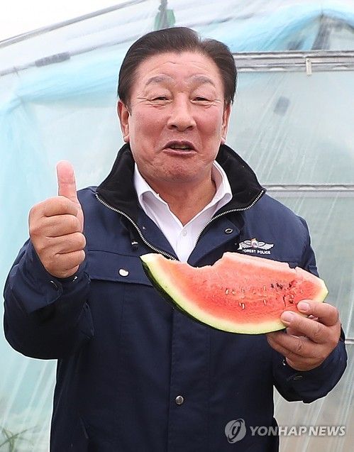 조근제 군수 "함안 겨울 수박 맛있습니다"