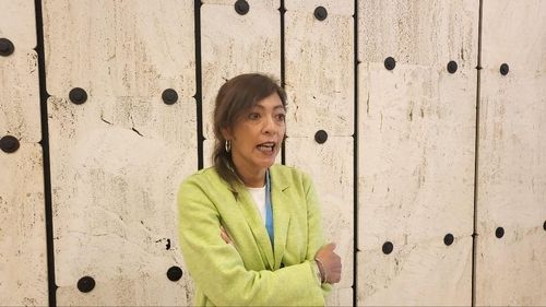 엘리자베스 살몬 유엔 북한인권특별보고관