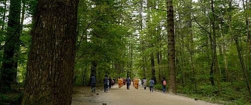 영화 '오늘 출가합니다'