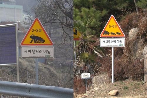 전남 광양시 비평저수지에 설치된 '두꺼비 표지판'