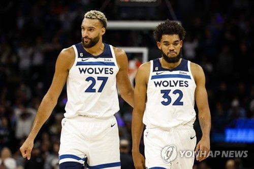 뤼디 고베르와 칼앤서니 타운스