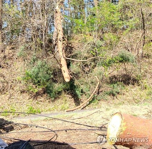 강릉서 산불…발화지점 추정지역