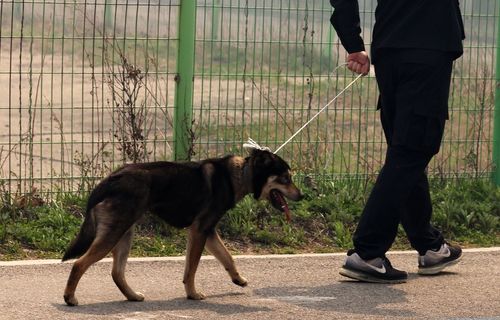 위험에서 벗어난 개