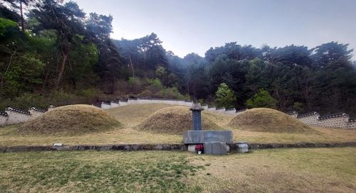 최고의 명당으로 불리는 서면 신숭겸 묘역